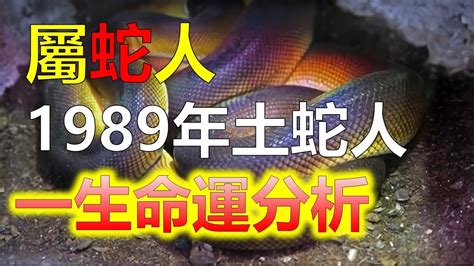 1989 蛇|生肖蛇: 性格，愛情，2024運勢，生肖1989，2001，2013